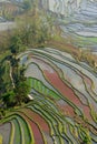 YuanYang Rice Terrace