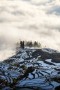 Yuanyang rice terrace at sunrise, Yunnan province, China Royalty Free Stock Photo