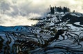 Yuanyang rice terrace at sunrise, Yunnan province, China Royalty Free Stock Photo