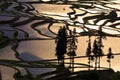 Yuanyang rice terrace