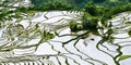 Yuanyang rice terrace