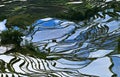 Yuanyang rice terrace Royalty Free Stock Photo