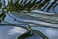 Yuanyang rice terrace Royalty Free Stock Photo