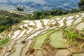 Yuanyang Rice Terraces, Yunnan - China Royalty Free Stock Photo