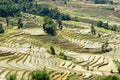 Yuanyang Rice Terraces, Yunnan - China Royalty Free Stock Photo
