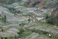 View on Yuanyang rice terraces in Laohuzui spot In Yunnan