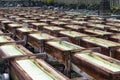 Yubatake onsen, hot spring wooden boxes with mineral water