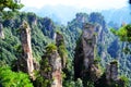 Yubi peak in Tianzi Mountain Royalty Free Stock Photo