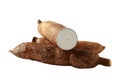 Yuca Royalty Free Stock Photo