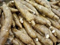 Yuca at the Latino Market Royalty Free Stock Photo