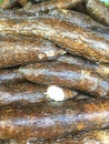 Yuca root, Cassava root Royalty Free Stock Photo