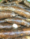 Yuca root, Cassava root Royalty Free Stock Photo