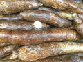 Yuca root, Cassava root Royalty Free Stock Photo