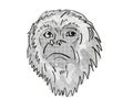 Yucatan Black Howler Monkey Cartoon Retro Drawing