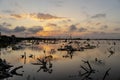 Yucatan Twilight Spectacle: Sunset Splendor over Mangrove Marsh on a Perfect Cloudless Day