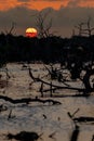 Yucatan Twilight Spectacle: Sunset Splendor over Mangrove Marsh on a Perfect Cloudless Day