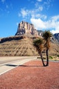 A Yucca on the Highway to the Guadalupe Mountains Royalty Free Stock Photo