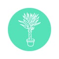 Yucca palm houseplant black line icon. Indoor decorative plant.