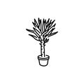 Yucca palm houseplant black line icon. Indoor decorative plant.