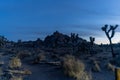 Yucca trees and rock formations at Joshua Tree National Park during the sunset
