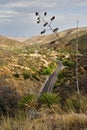 Yuccas and Century Plant watching over Bisbee Arizona Royalty Free Stock Photo