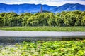 Yue Feng Pagoda Lotus Garden Summer Palace Beijing China Royalty Free Stock Photo