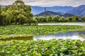 Yue Feng Pagoda Lotus Garden Summer Palace Beijing, China Royalty Free Stock Photo