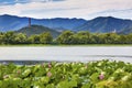 Yue Feng Pagoda Lotus Garden Summer Palace Beijing China Royalty Free Stock Photo