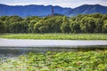 Yue Feng Pagoda Lotus Garden Summer Palace Beijing China Royalty Free Stock Photo