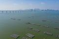 Yuen Long Lau Fau Shan oyster farm