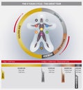 The 4 Yugas Cycle Diagram showing The Great Year Time Cycle - Golden, Silver, Bronze and Iron Ages