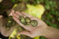 Yugoslavian coins, tresuare in Slovenia