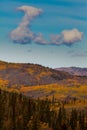Yukon Gold - Fall in Yukon Territory, Canada Royalty Free Stock Photo