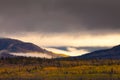 Yukon Gold - Fall in Yukon Territory, Canada Royalty Free Stock Photo
