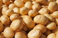 Yukon Gold Potatoes