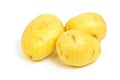 Yukon Gold potatoes