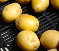 Yukon Gold Potatoes at Farmer`s market Royalty Free Stock Photo