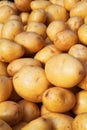 Yukon Gold Potatoes Vertical