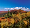 Yukon - Ogilvie Mountains in the fall Royalty Free Stock Photo