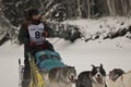 Yukon Quest - Jocelyne LeBlanc Royalty Free Stock Photo