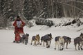 Yukon Quest - Lance Mackey Royalty Free Stock Photo