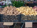 Yukon and russet potatoes on sale at farmer`s market in crates Royalty Free Stock Photo