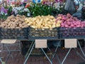 Yukon, russet, and red potatoes on sale at farmer`s market Royalty Free Stock Photo