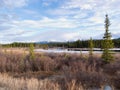 Yukon taiga wetland marsh spring thaw Canada