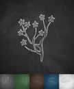 Yulan magnolia icon. Hand drawn vector illustration