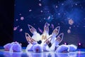 Yulan magnolia-Pure angel-Chinese classical dance