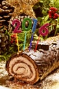 2016 yule log cake Royalty Free Stock Photo