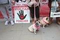 Yulin dog festival protestors Chinese New Year, year of the dog London, February 2017.