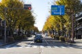 Yume Kyobashi Castle Road with Golden Ginkgo Trees lined on both sides Royalty Free Stock Photo