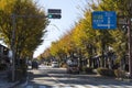 Yume Kyobashi Castle Road in Hikone, Japan with Golden Ginkgo Trees on both sides